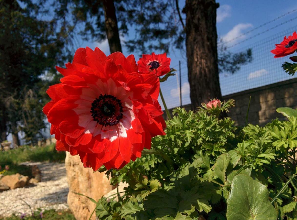 Villa 2 Fields Castellaneta Exterior photo